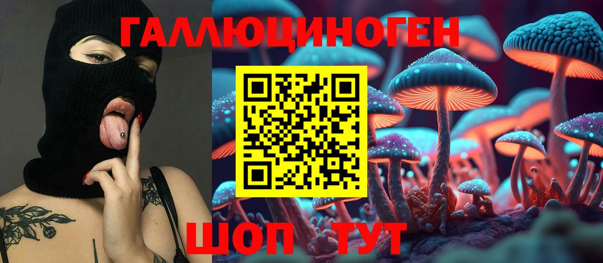 Галлюциногенные грибы Psilocybine cubensis Котовск