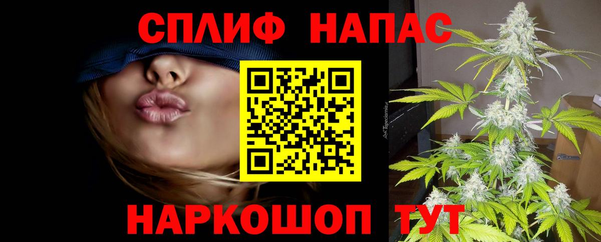 Марихуана сатива Котовск